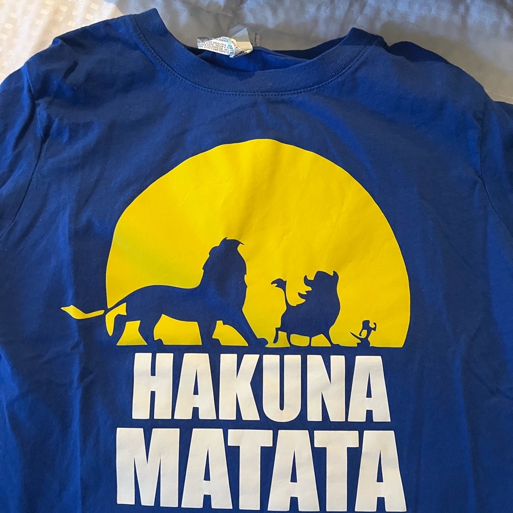 Hakuna Matata: Boy- size 4 shirt